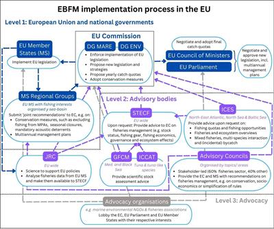 Using ecosystem models to inform ecosystem-based fisheries management in Europe: a review of the policy landscape and related stakeholder needs